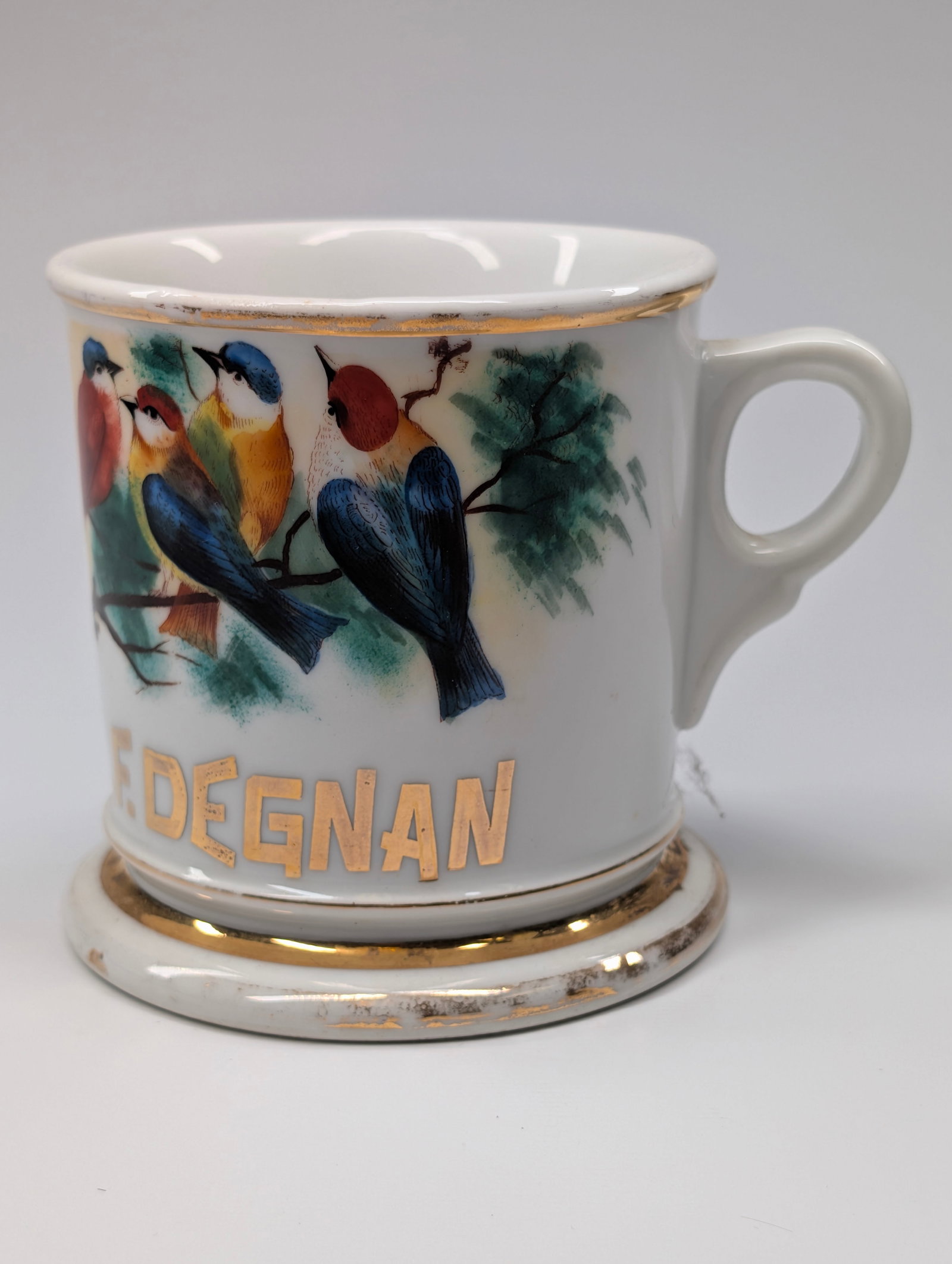 COLORFUL BIRDS GOLD BLOCK LETTERS OCCUPATIONAL SHAVING MUG (1 of 6)