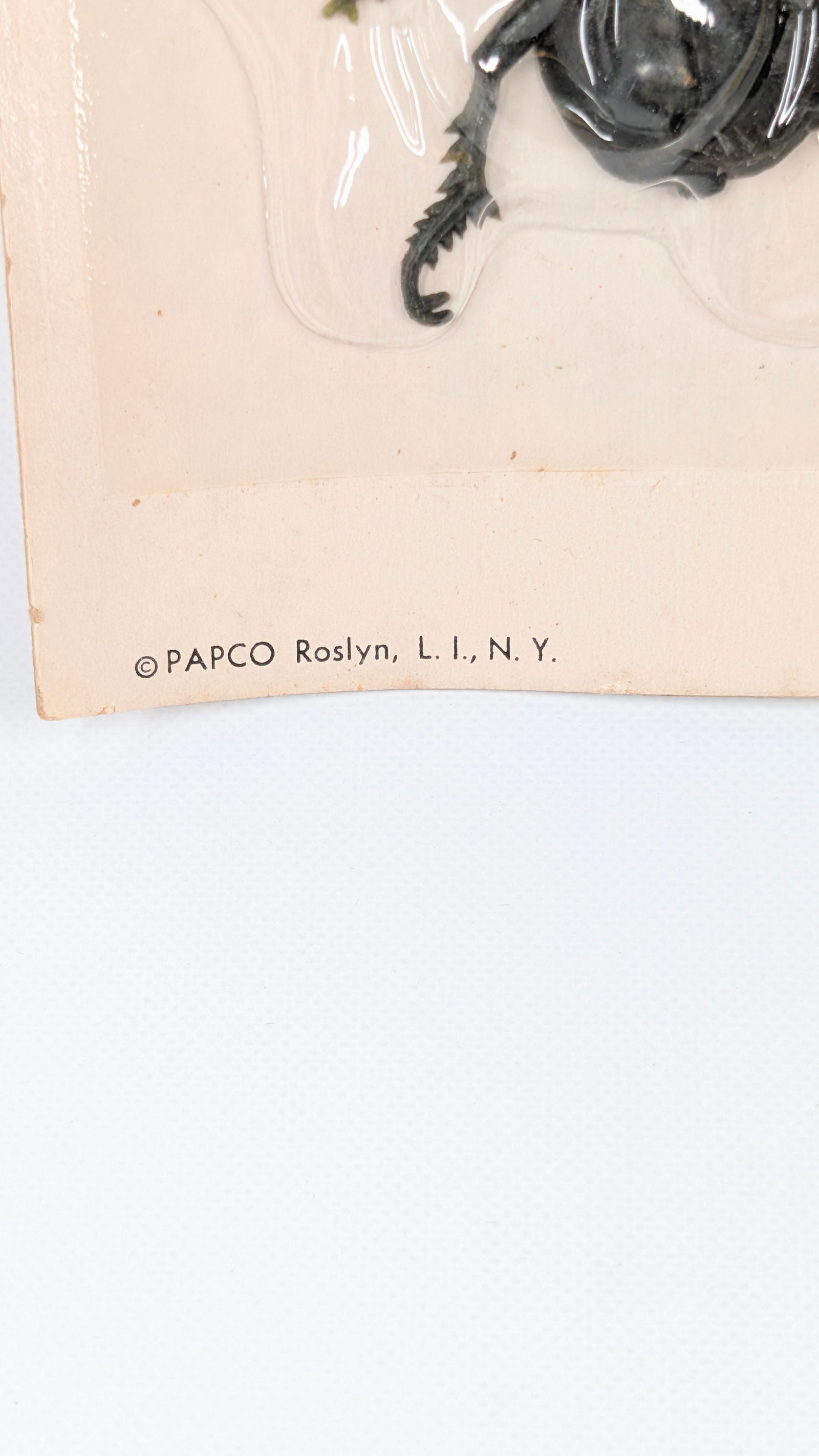 PAPCO BEETLE COMB DISPLAY - 2