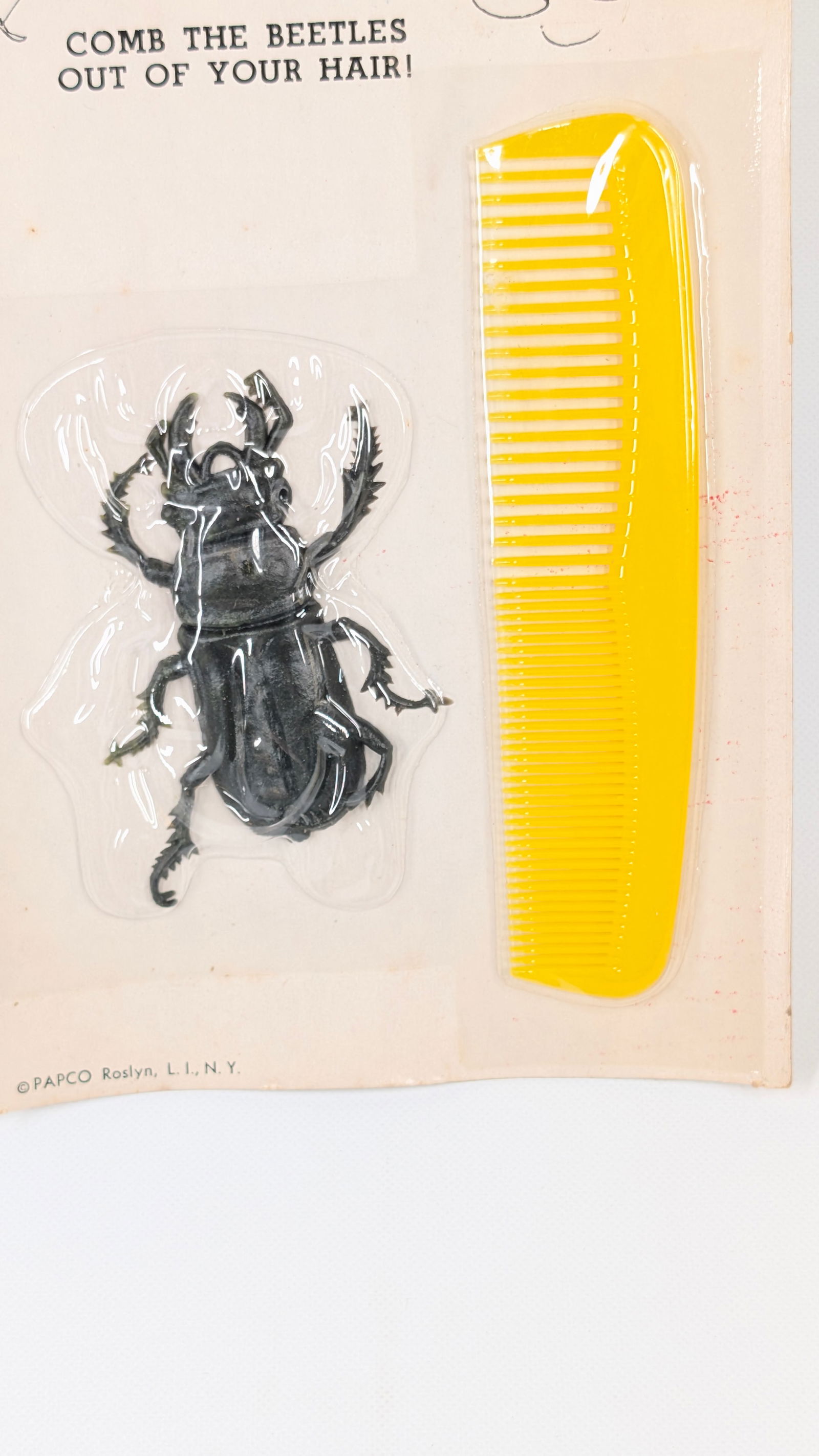 PAPCO BEETLE COMB DISPLAY - 3