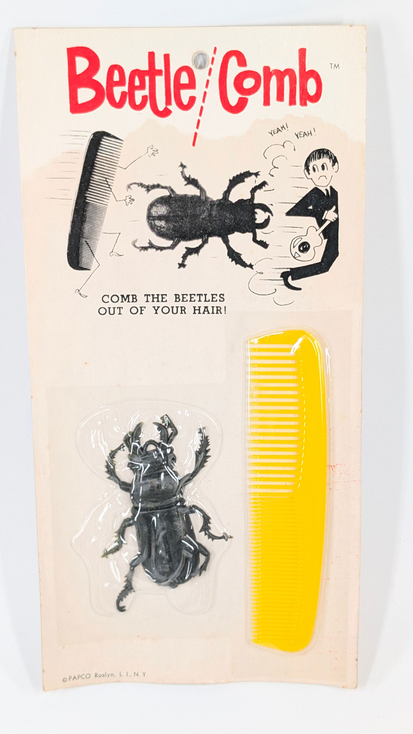 PAPCO BEETLE COMB DISPLAY - 4