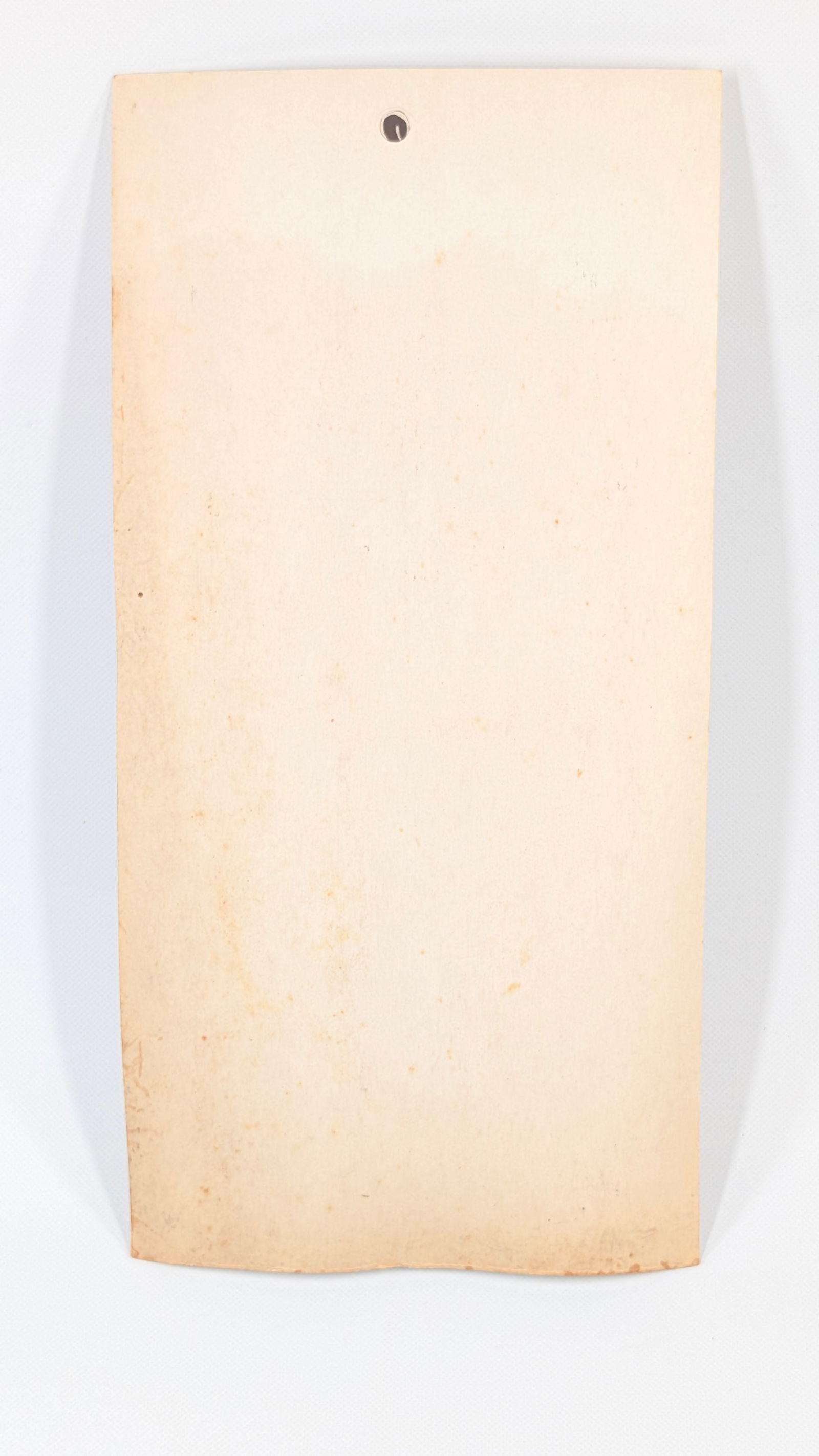 PAPCO BEETLE COMB DISPLAY - 5