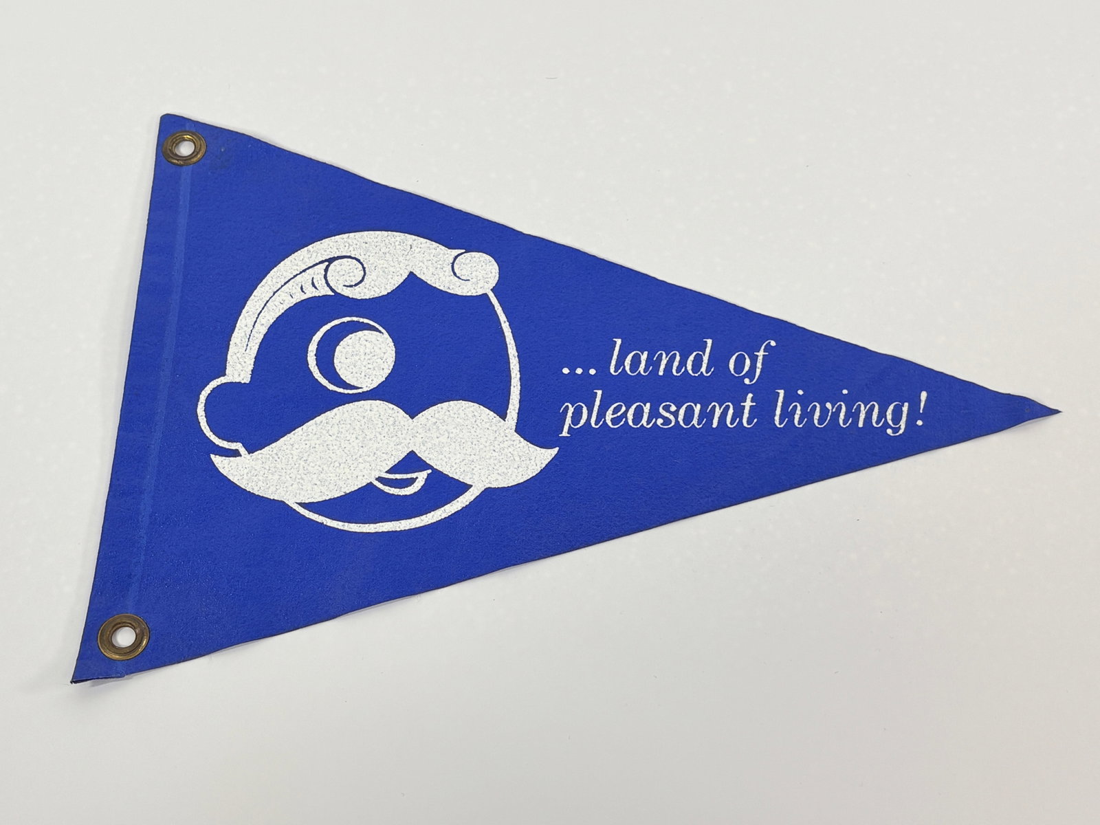 NATIONAL BOHEMIAN LAND OF PLEASANT LIVING FELT PENNANT: GOOD CONDITION PENNANT WITH CLEAN PRINTING