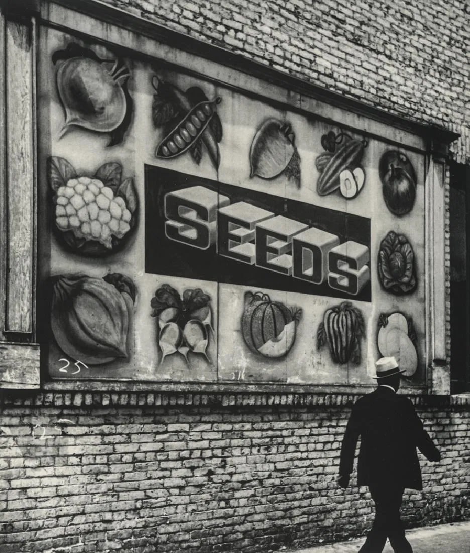 John Gutmann (American, 20th c.) Seeds Advertisement Sign, California: John Gutmann (American, 20th c.) Seeds Advertisement Sign, California. Photolitho. Measures: 7 1/2 x 8 3/4 inches