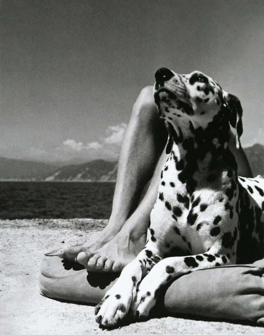Herbert List - Portofino, 1936: Herbert List (B. 1903) Herbert List - Portofino, 1936. Photolitho. Measures: 7 1/2 x 6 inches.