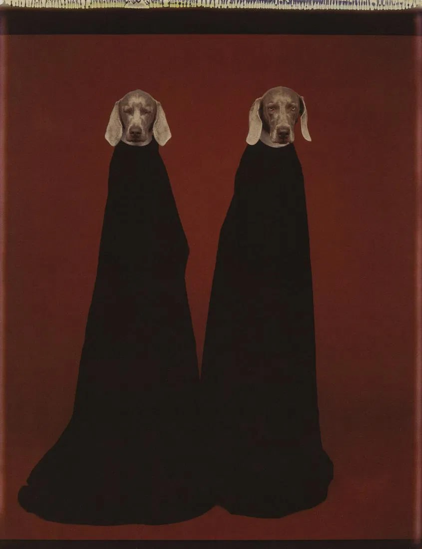 William Wegman (American, b. 1943) Innocence and Guilt, 1990: William Wegman (American, b. 1943) Innocence and Guilt, 1990. Photolitho. Measures: 6 3/4 x 8 3/4 inches.