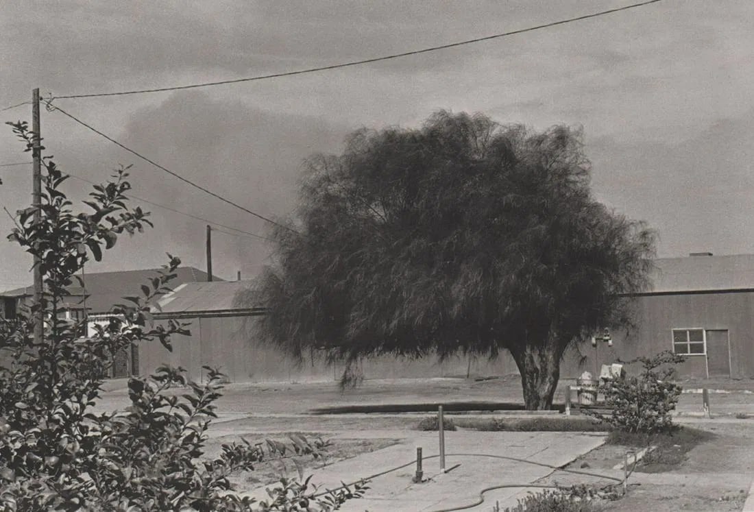 Lee Friedlander - Yuma, Arizona, 1970: Lee Friedlander - Yuma, Arizona, 1970. Photolitho. Measures: 5 1/2 x 8 1/2 inches.