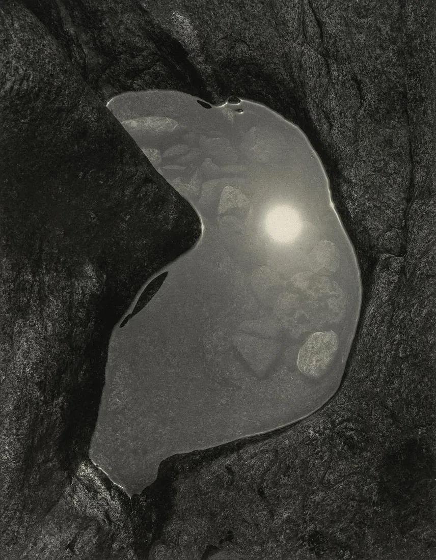 Paul Caponigro - Tide Pool, Nahant, Massachusetts, 1965 (1 of 1)