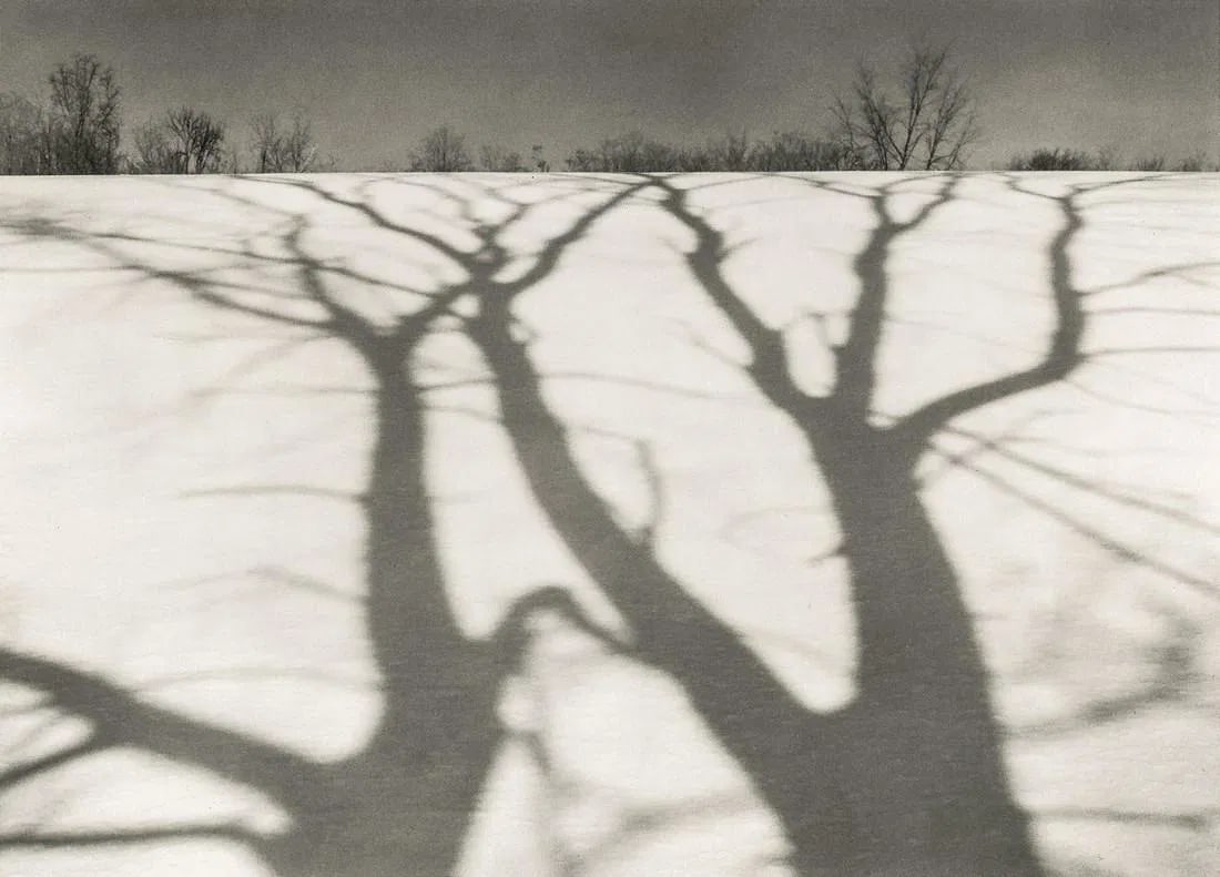 Mark Citret - Long Shadows, 1971: Mark Citret - Long Shadows, 1971. Photolitho. Measures: 8 1/2 x 6 inches.