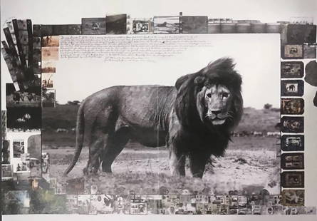 Peter Beard - Serengeti Lion, 1976: PETER BEARD (1938-2020) ,Serengeti Lion, 1976 ,Photo-litho 14" x 20"
