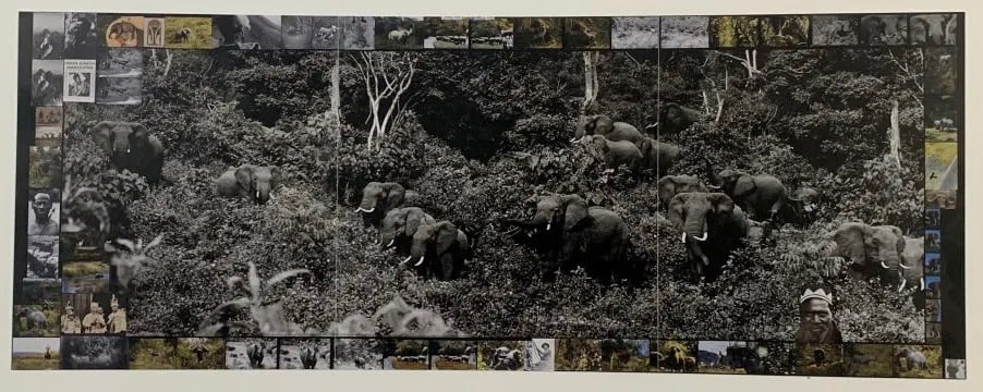 Peter Beard - The Gardeners of Eden Triptych 1972: PETER BEARD (1938-2020) The Gardeners of Eden (Triptych), 1972 , Photo-litho ,9" x 24 1/2"