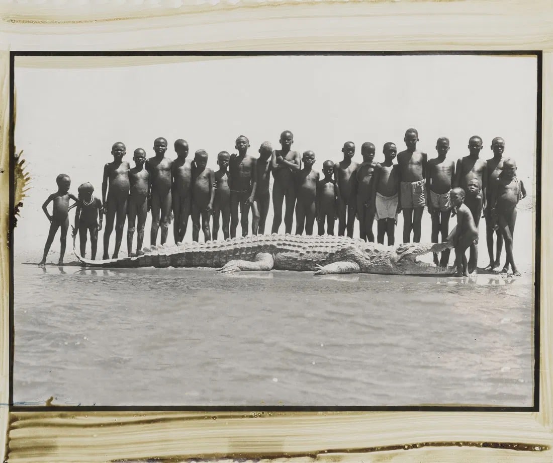 Peter Beard - Ferguson's Gulf Spit Crocodile, 1968: PETER BEARD (1938-2020)Ferguson's Gulf Spit Crocodile, 1968 ,Offset lithograph in colors ,From a limited edition ,20" x 14"