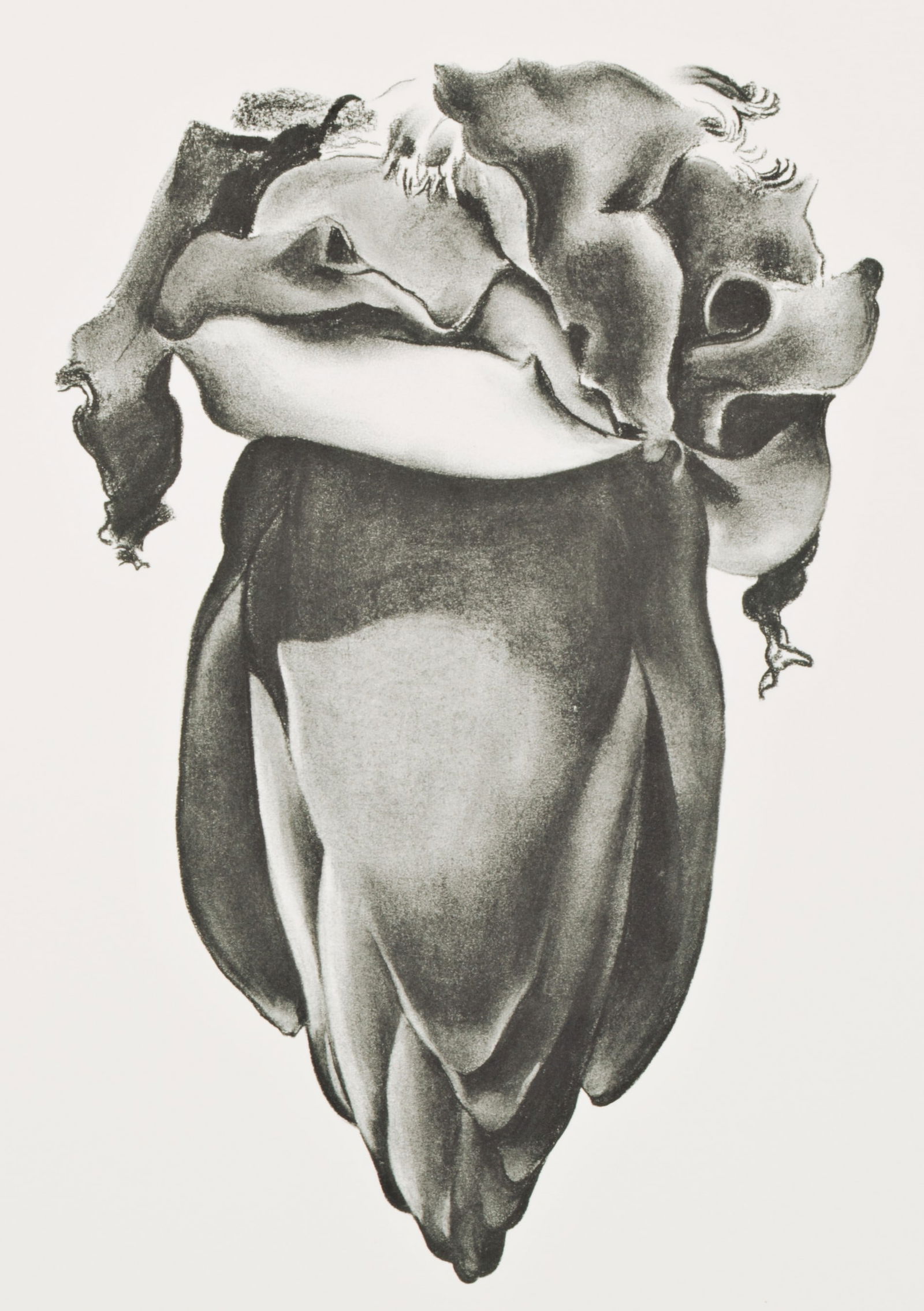 Georgia O'Keeffe - Untitled (1 of 1)