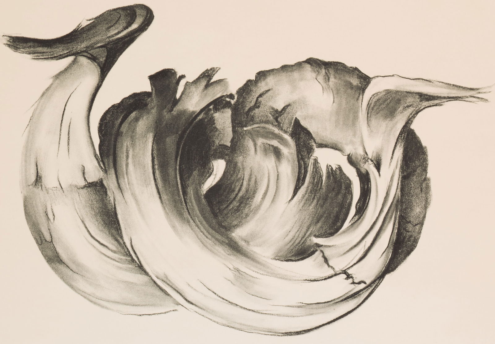 Georgia O'Keeffe - Untitled (1 of 1)