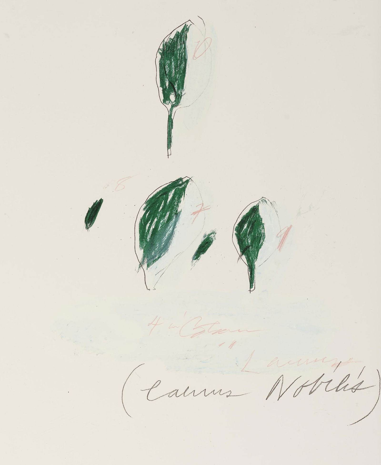 Cy Twombly - Natural History: Cy Twombly - Natural History. Print in colors. Measures: 30 x 22 inches.