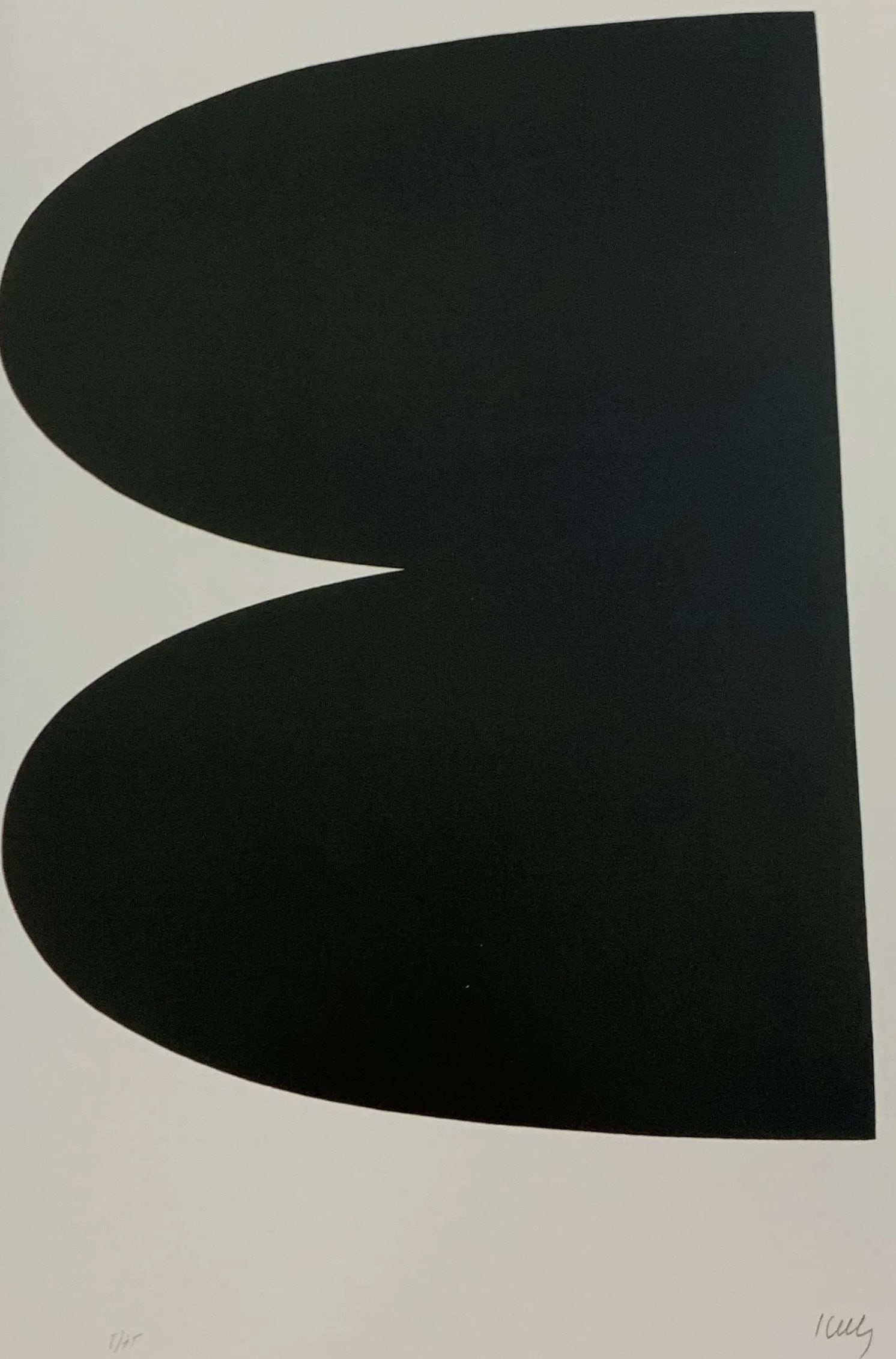 Ellsworth Kelly (American) (1 of 1)