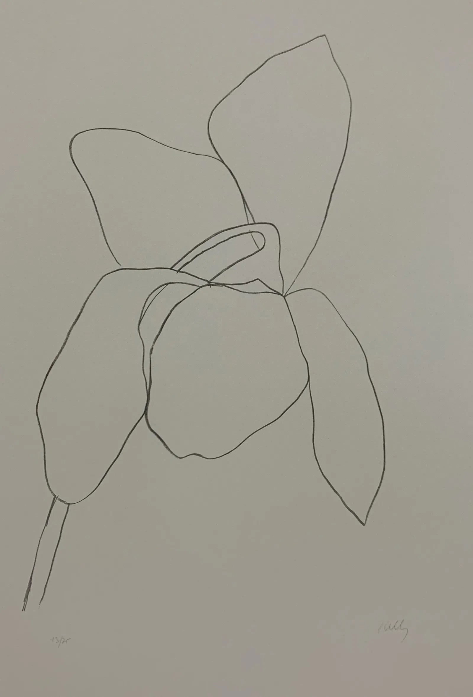 Ellsworth Kelly (American) (1 of 1)