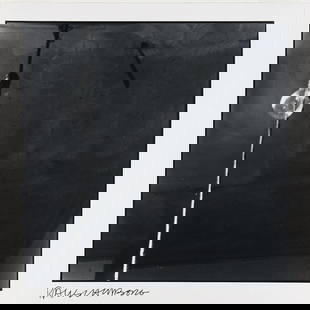 Robert Rauschenberg, photo lithograph 1979: Measures 14 x 13.5 inches, signed in the plate