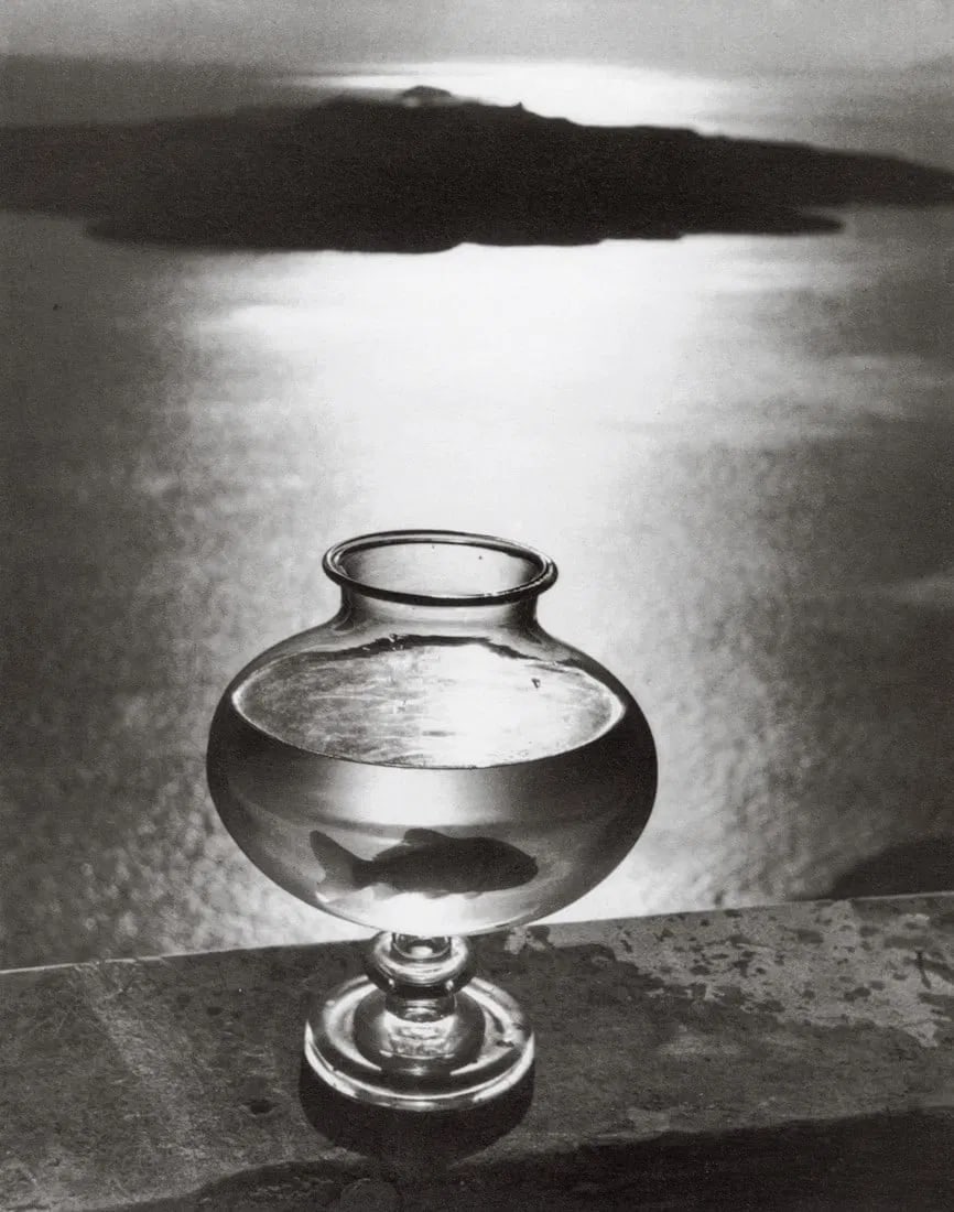 Herbert List - Goldfish Glass, 1937 (1 of 1)