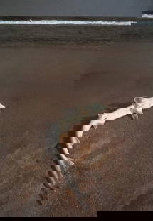Henry Wolf - Shark Out Of Water: Henry Wolf - Shark Out Of Water. Photolitho. Measures: