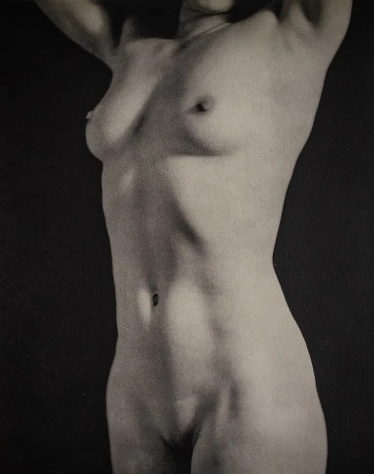 Ralph Sommer - Torso: Ralph Sommer - Torso. Photolitho. Measures: 7 3/4 x 8 3/4 inches.