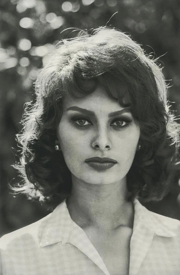 Sam Shaw - Sophia Loren: Sam Shaw - Sophia Loren. Photolitho. Measures: 5 1/3 x 8 1/3 inches.