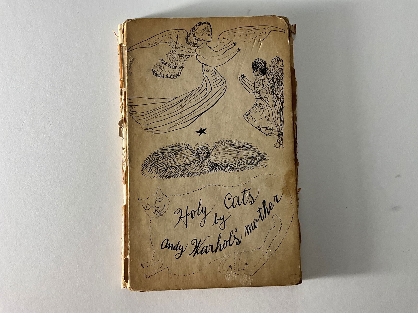 Andy Warhol Holy Cats by Andy Warhol's mother 1st edition (1 of 2)