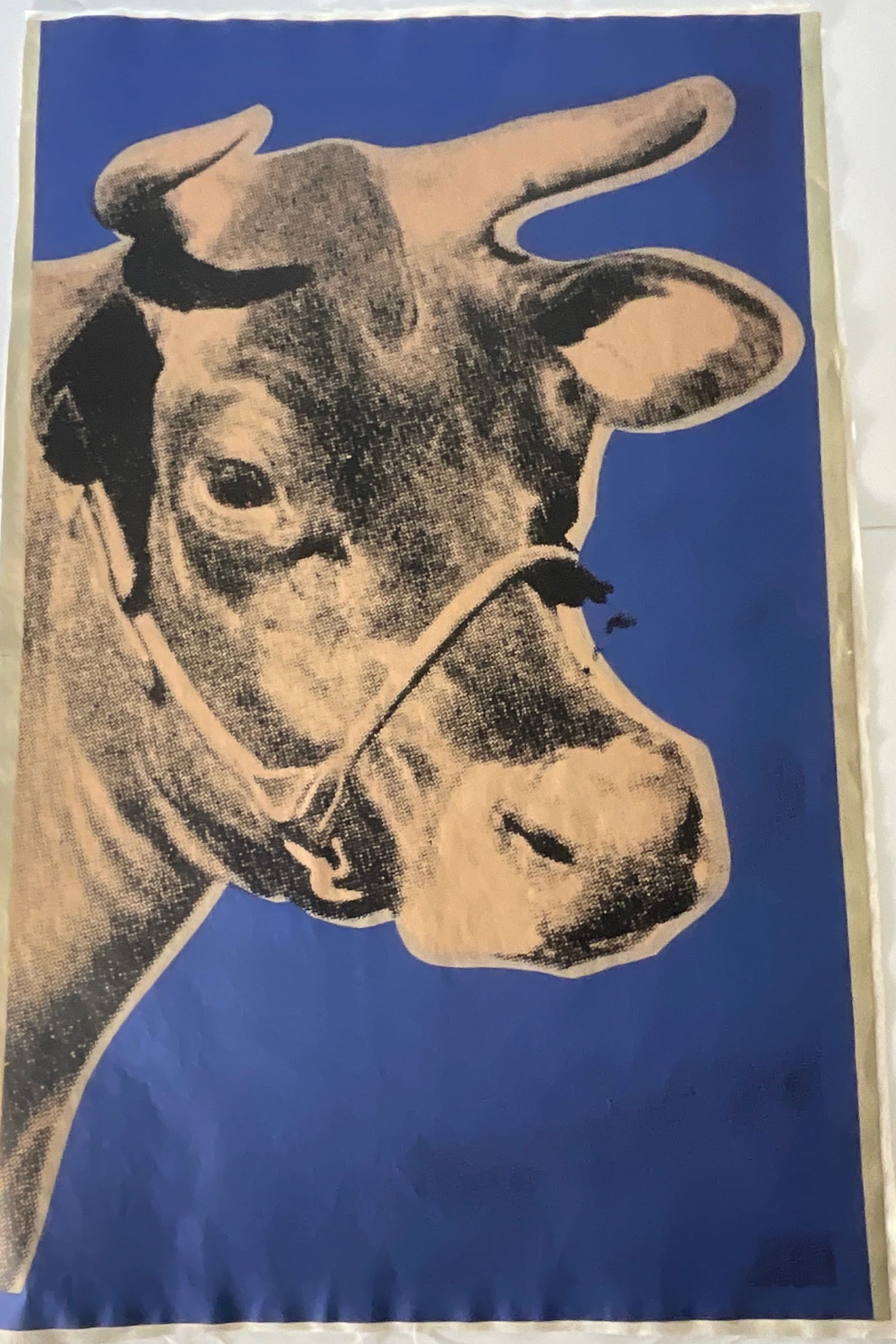 Andy Warhol, Cow Wallpaper (1 of 7)