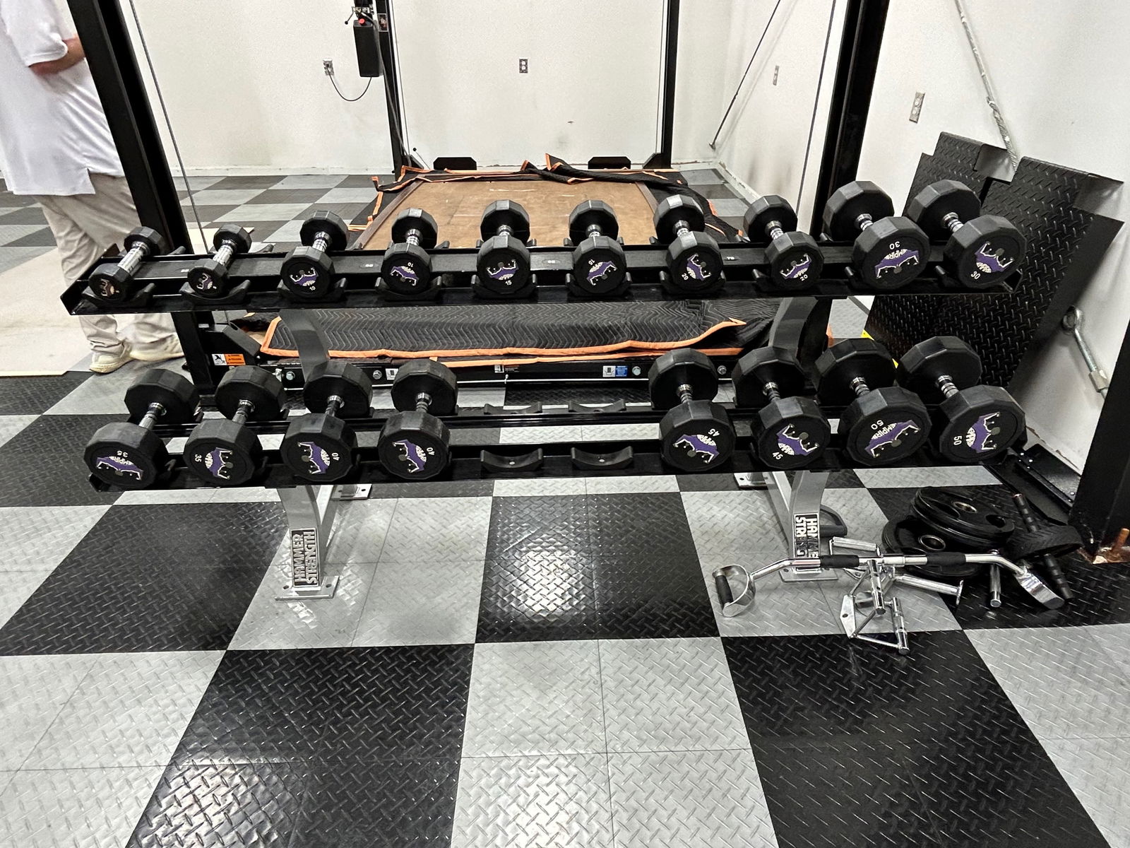 Hammer Strength Dumbells (1 of 4)