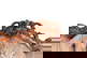 item-209119106=6