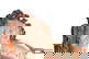 item-209119106=9