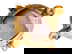 item-210334465=13