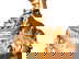 item-210334465=6