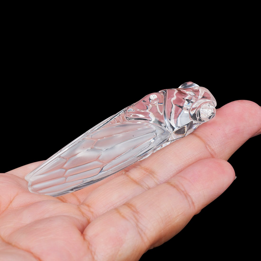 Stueben Glass Cicada With Original Box - 6