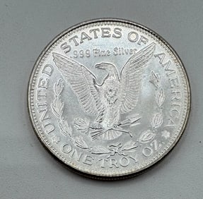 One Troy Silver Coin