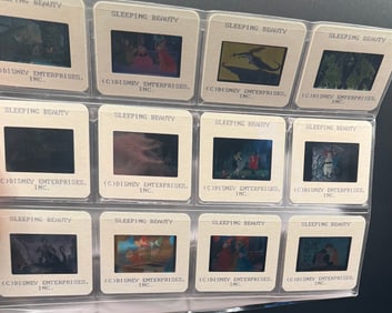 Sleep Beauty Disney Slides Lot