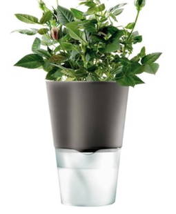 Eva Solo herb pot: Eva Solo herb pot. Three available. DIMENSIONS: 6.2āD x 8.9āH