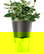 item-206760173=1