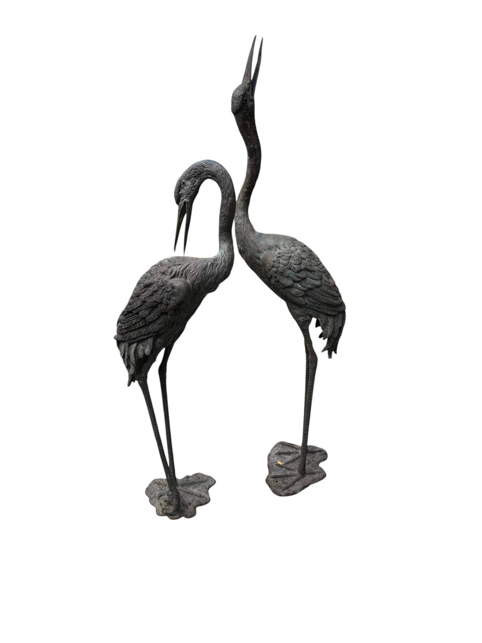 An immaculate pair of antique bronze garden cranes with a verdigris patina: An immaculate pair of antique bronze garden cranes with a verdigris patina. DIMENSIONS: 51.5"H