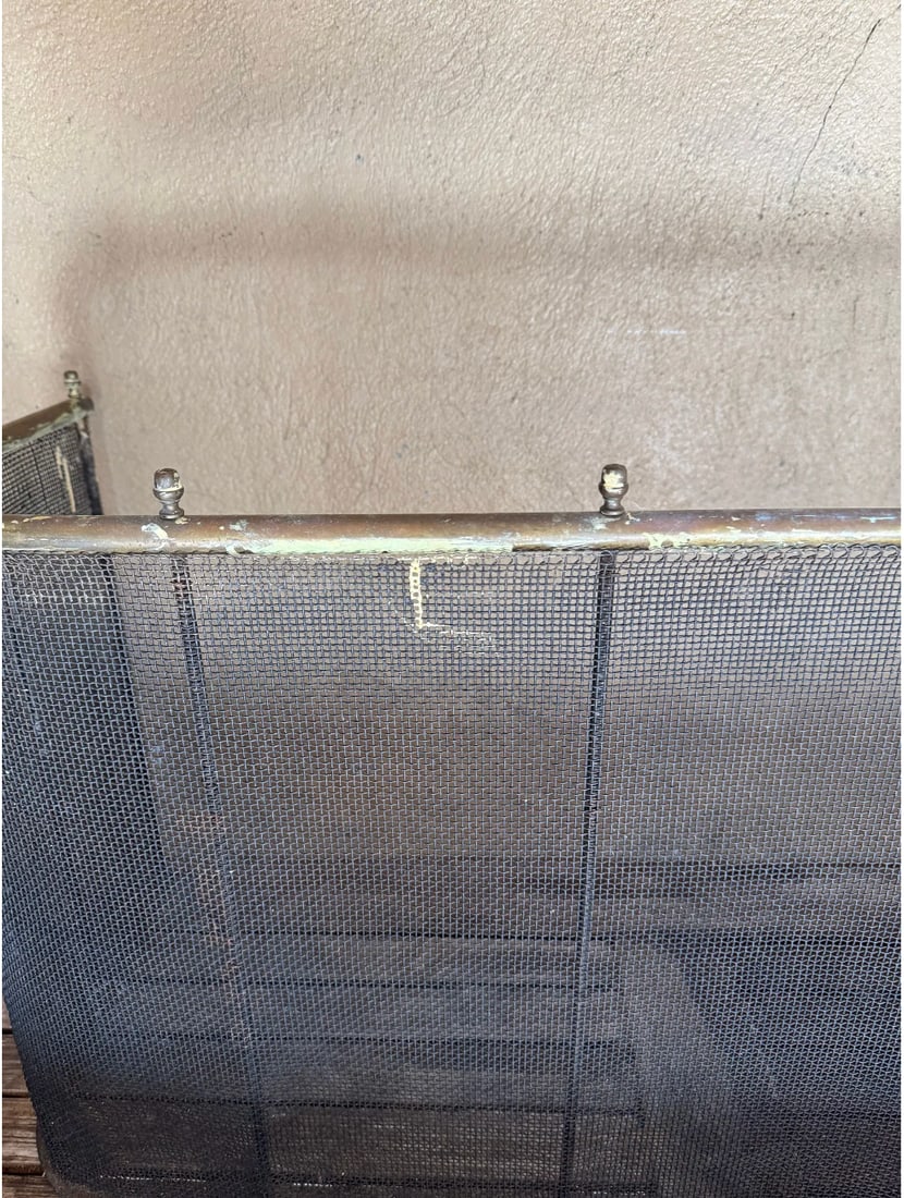 Antique architectural mesh firescreen - 5