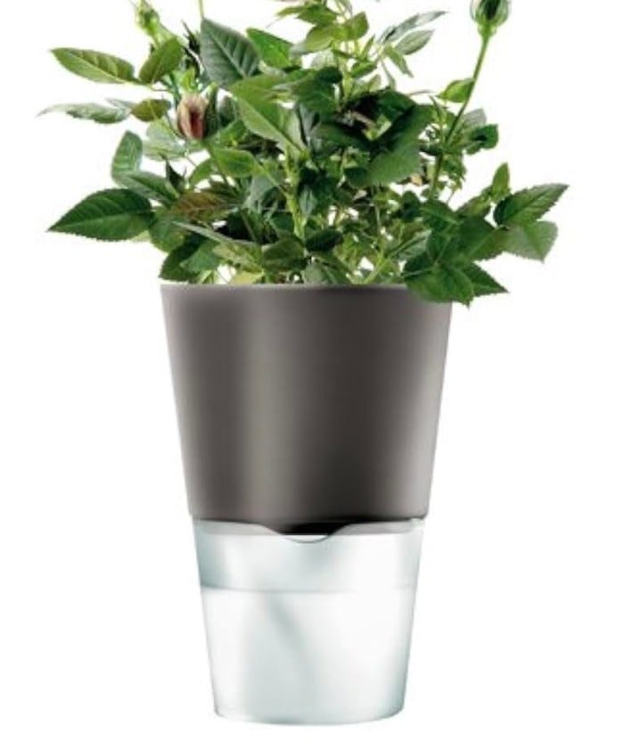 Set of 3 Eva Solo herb pots (1 of 4)