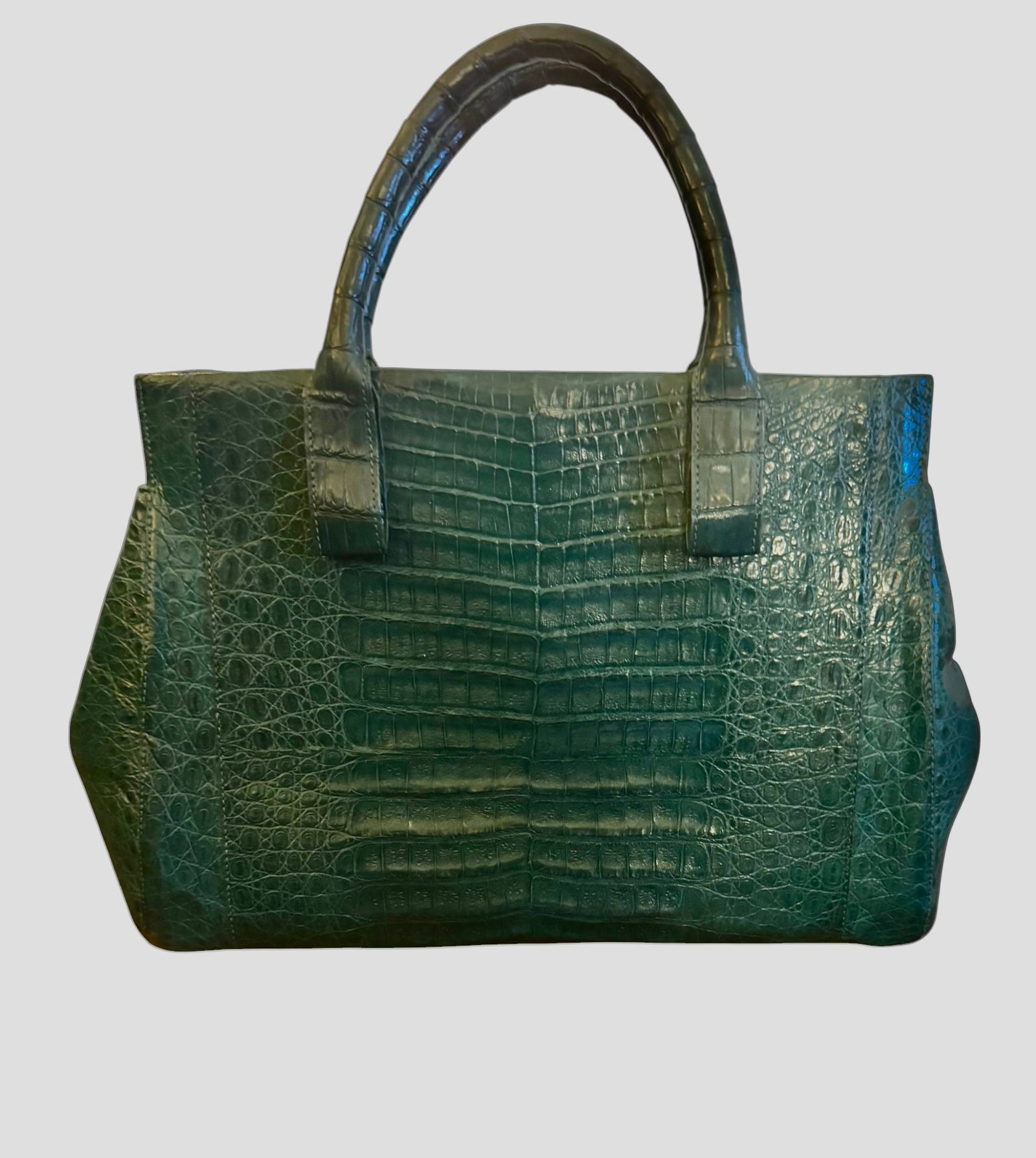 Nancy Gonzalez Emerald Green Croc Handbag (1 of 9)