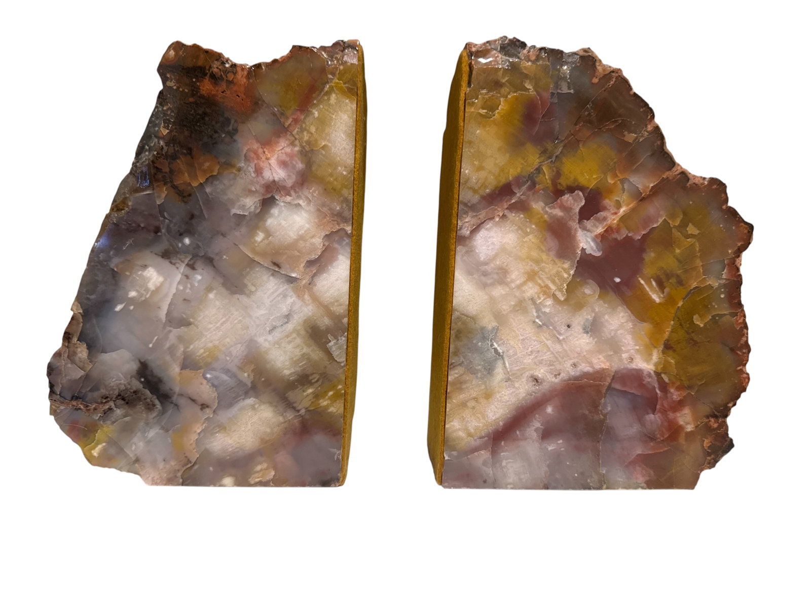 Pair of petrified wood bookends (1 of 4)