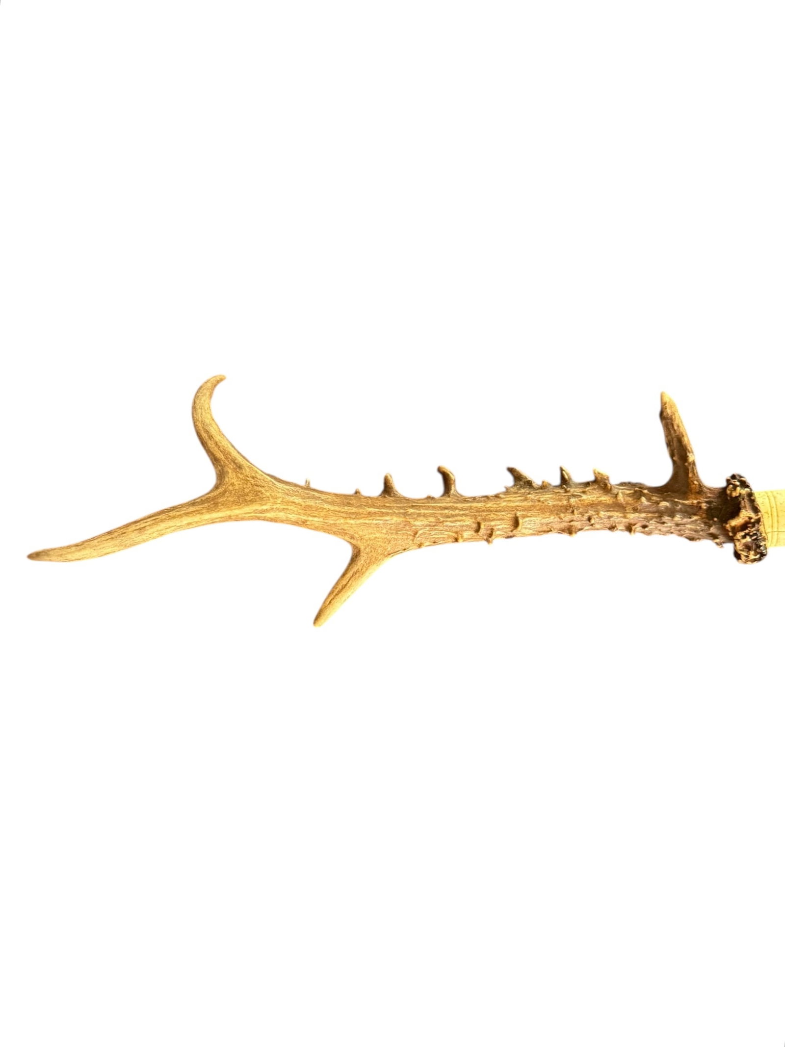 Antler Calligraphy Brush - 3