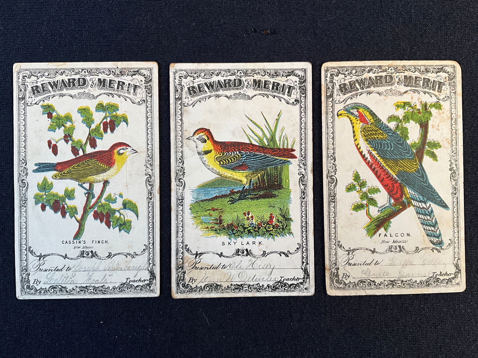 Rewards of Merit, ca. 1870 – 1880s Lot of 3 - Birds - Highly Detailed: Here are three cards from a set, each cards measures 4 ½” X 2 ½” and depicting birds. They are printed on glossy card stock and probably date to 1870 – 1880. The colors are