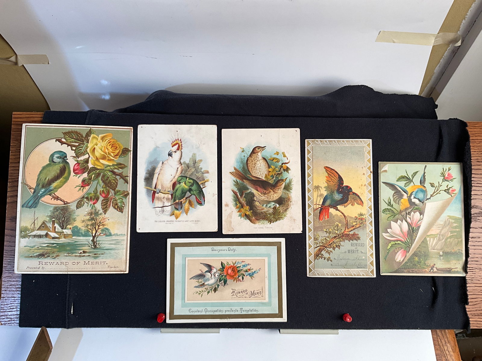 Rewards of Merit, ca. 1800s Lot of 6 - Depicting Birds - All Chromolithographs (1 of 9)