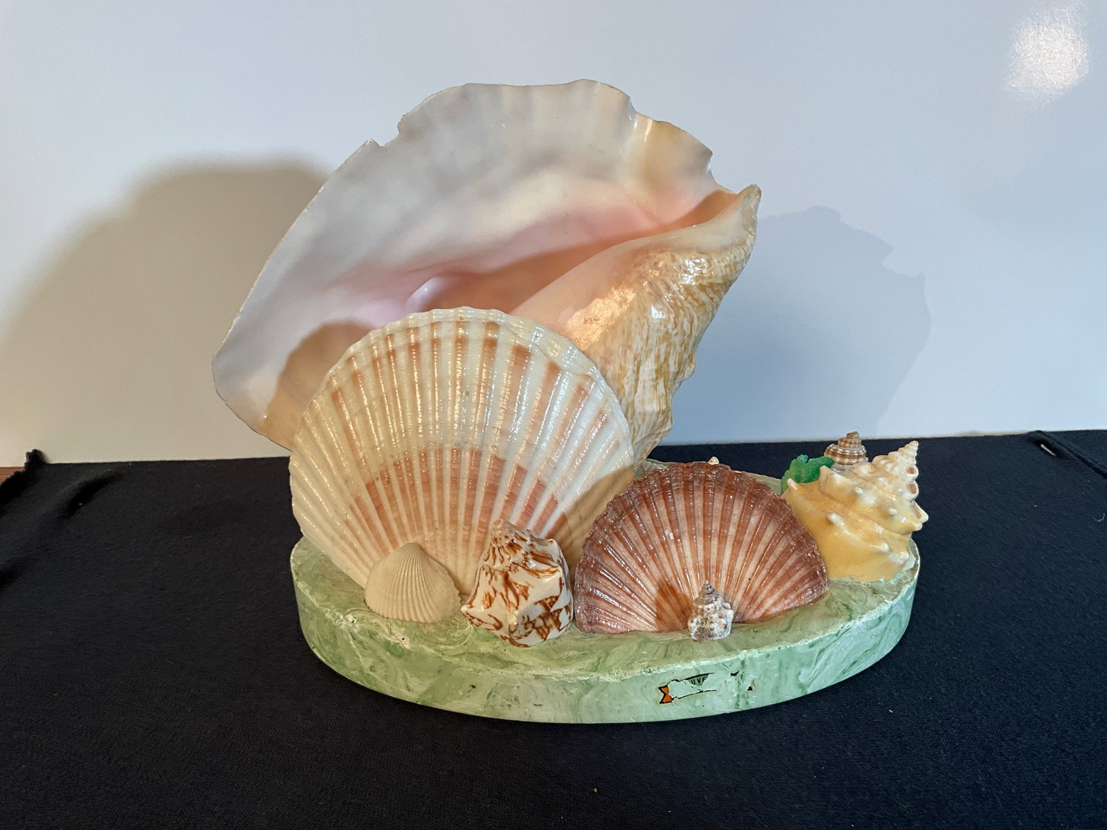 Vintage MCM TV Lamp with Shell as the Lamp, Lots of Shells - Neat Item (1 of 6)