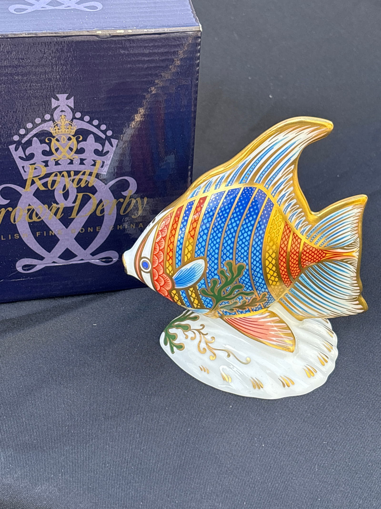 2003 Exclusive edition Pacific Angel Fish Royal Derby England china 4&1/2 paperweight (1 of 7)