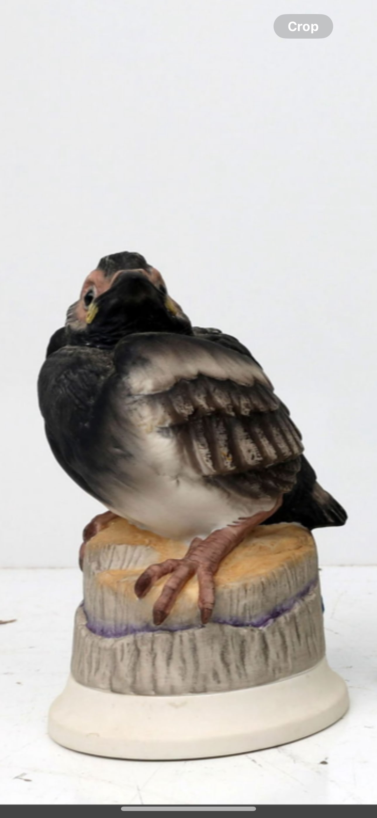 Vintage Boehm hedgeling magpie on stump 6 in high: Boehm hedgeling magpie on stump, 6 inches high. maker’s mark on bottom. It is in excellent shape with no chips, breaks, etc.Good condition. No damage.