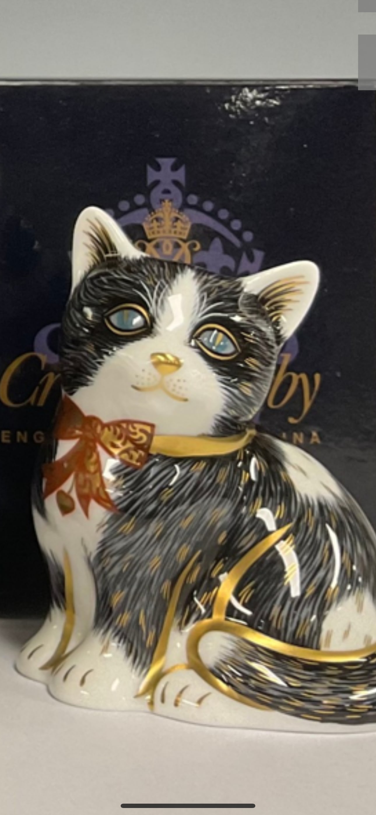 Royal Crown Derby England Black & White Kitten 3&1/4 in paperweight statue w/box (1 of 1)