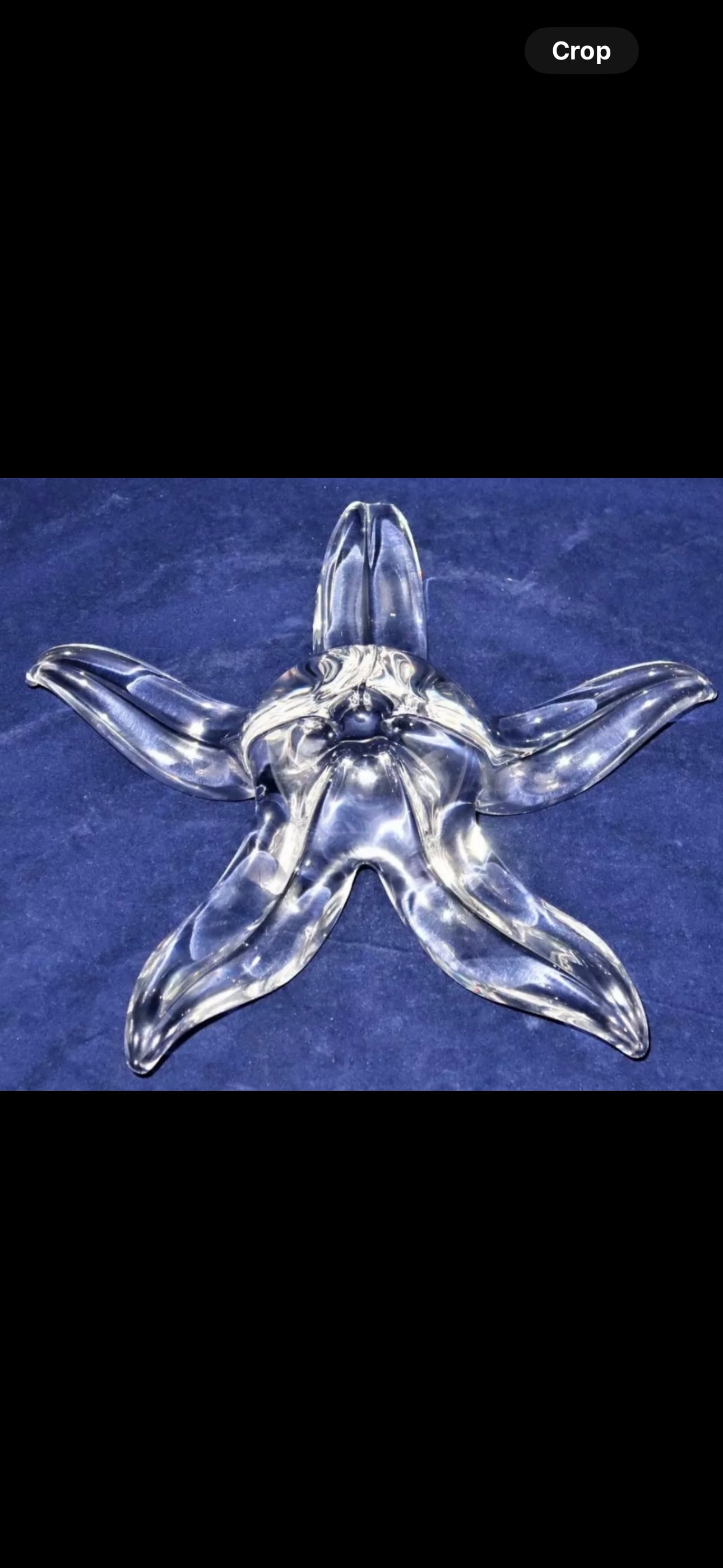 Rare large Vintage script signed Steuben clear art glass 10 inch starfish #8237 (1 of 8)